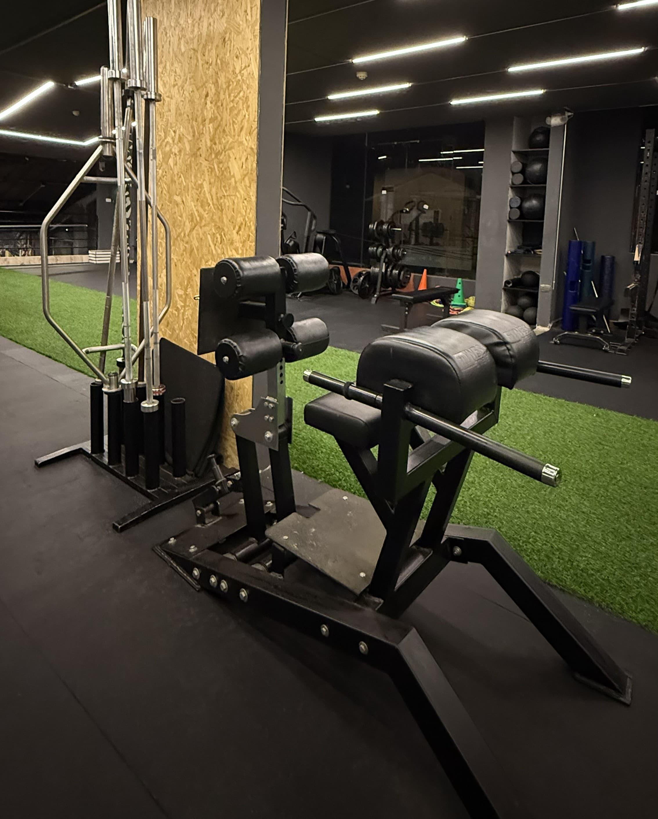 Zona de musculación con equipos profesionales