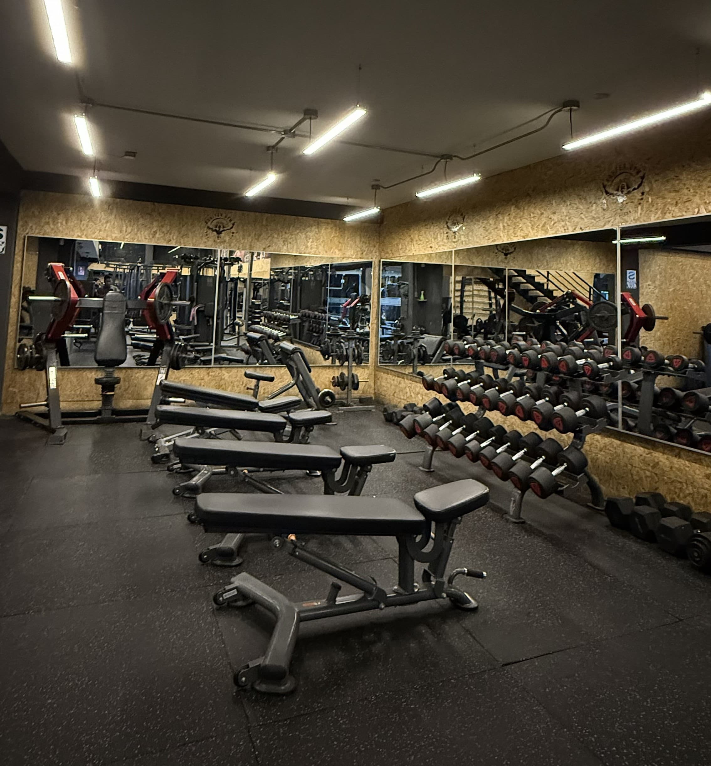 Zona de musculación con equipos profesionales